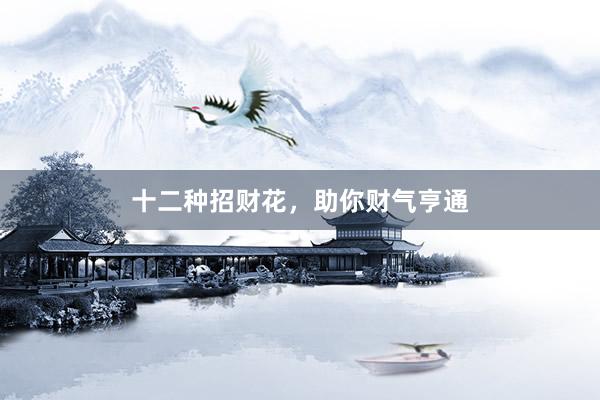 十二种招财花，助你财气亨通